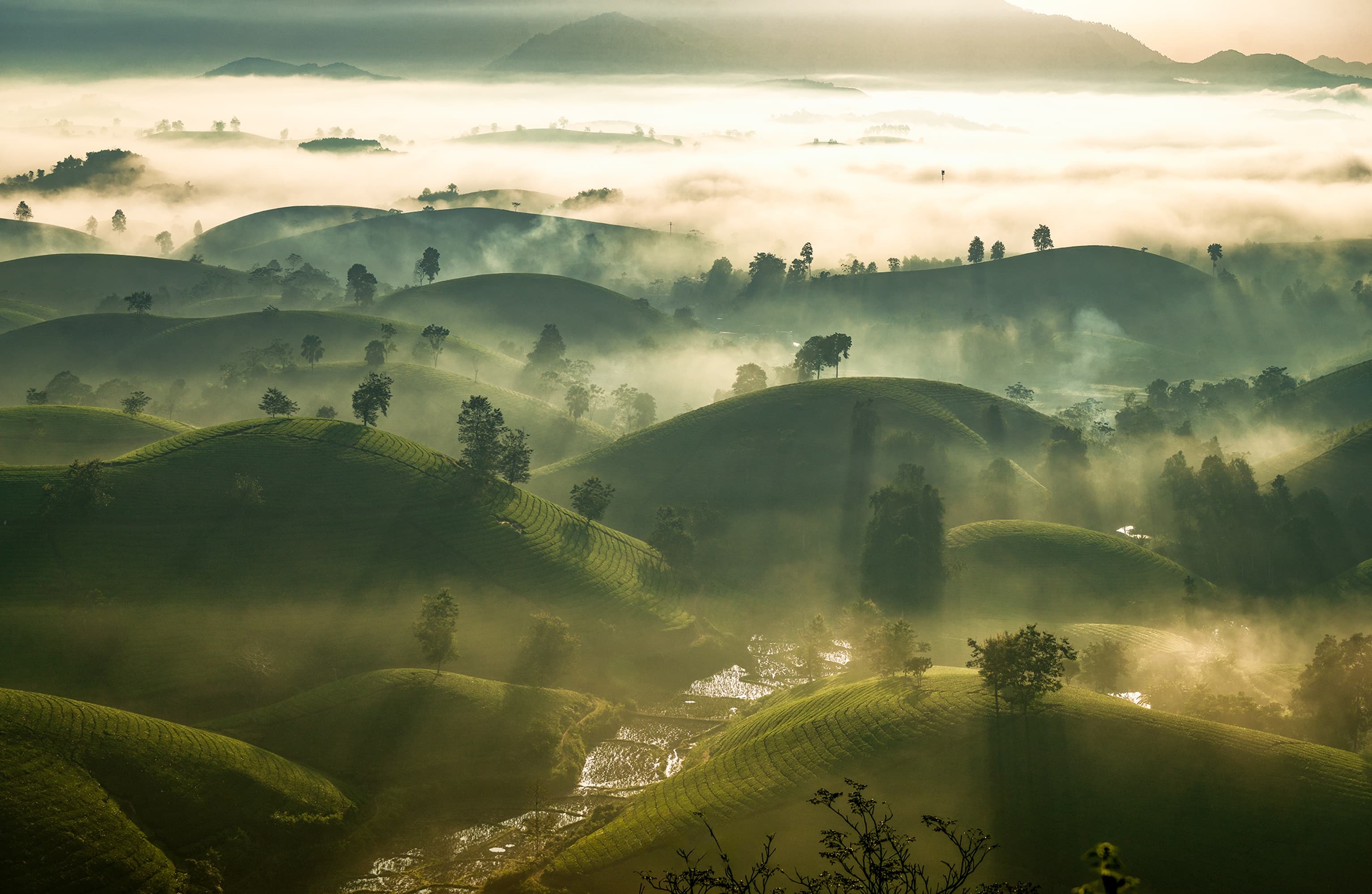 Rolling valley landscape
