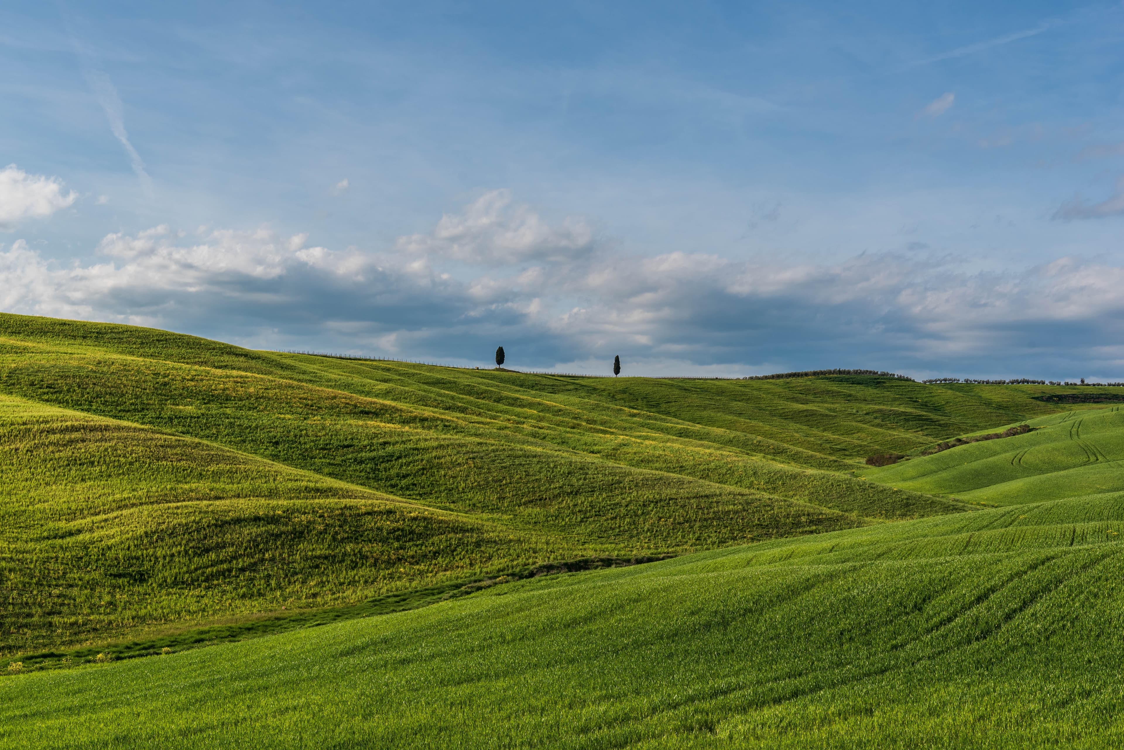 Soft rolling green hills under an open sky